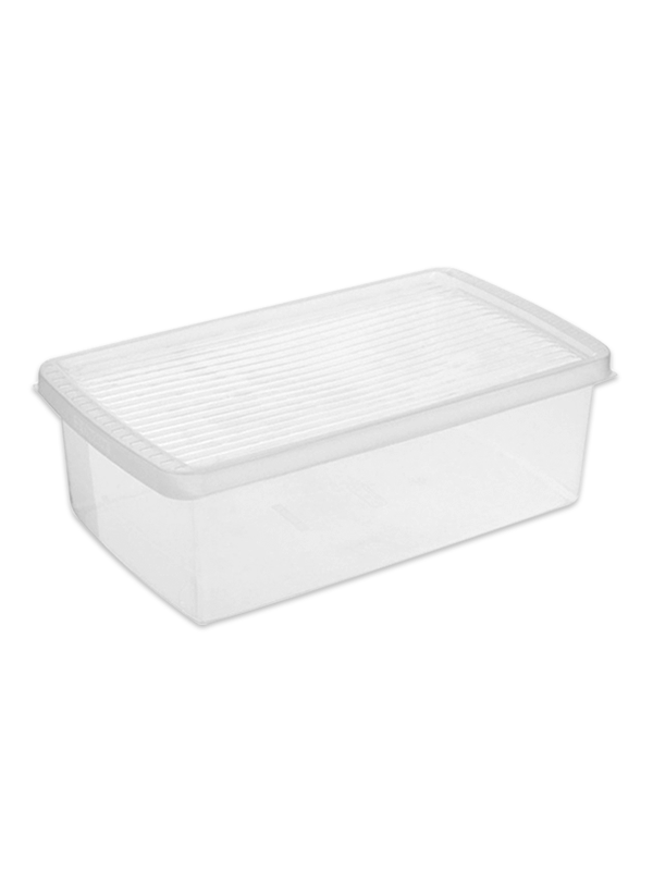Caixa plástica para organizar sapatos/acessórios 36x20x12 – 60200